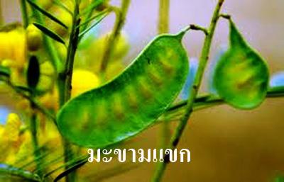 Rose Tea (โรส ที) Mix Herbal Tea