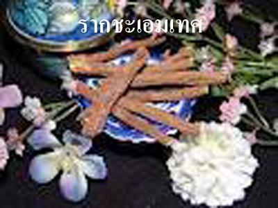 Rose Tea (โรส ที) Mix Herbal Tea