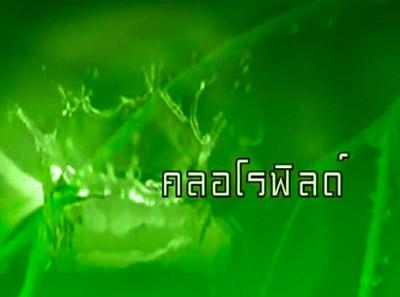 D-Tox for night(ดีท็อก ฟอร์ ไนท์) ผลิตภัณฑ์คลอโรฟิลล์เพื่อสุขภาพ