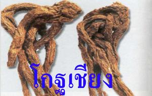 Forget me not (ฟอร์ เก็ท มี น็อต) ช่วยให้หนุ่มๆ ลืมคุณไม่ได้แม้แต่วินาที