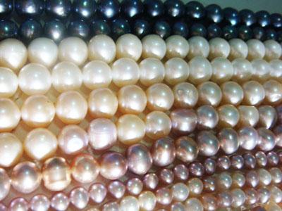 Rose Pearl ไข่มุกภูเก็ต ขายส่ง ไข่มุก เครื่องประดับ ไข่มุกแท้ สร้อยมุก จี้มุก ต่างหูมุก แหวนมุก มุกเม็ดร้อยสร้อย มุกภูเก็ต ราคาถูก
